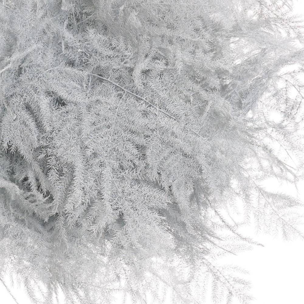 Plumosus weiss gefärbt 45cm (x25)