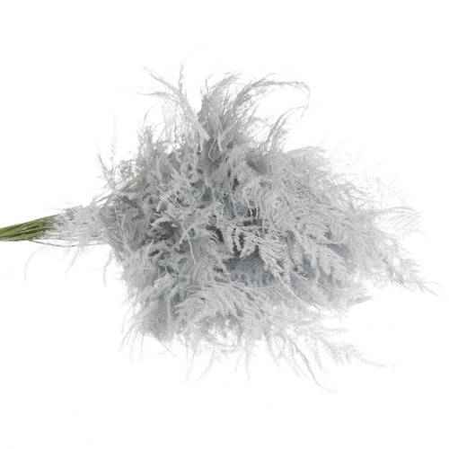Plumosus weiss gefärbt 45cm (x25)