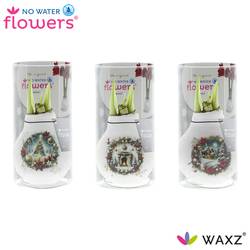 Amar.Bol Wachs mix Chr.Eve im Hülse rote Bl. 32cm H015