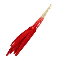 Trocken Bapala rot L65cm x10