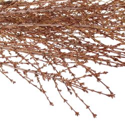 Forsythia gelb pro bund 80cm
