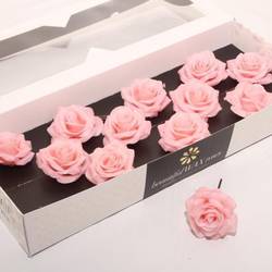 Seiden Wachs Rose apricot D10cm (9110) Oceana