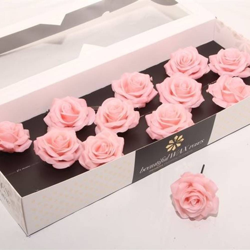 Seiden Wachs Rose apricot D10cm (9110) Oceana