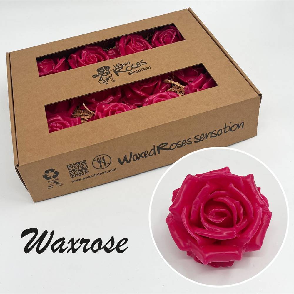 Seiden Wachs Rose fuchsia