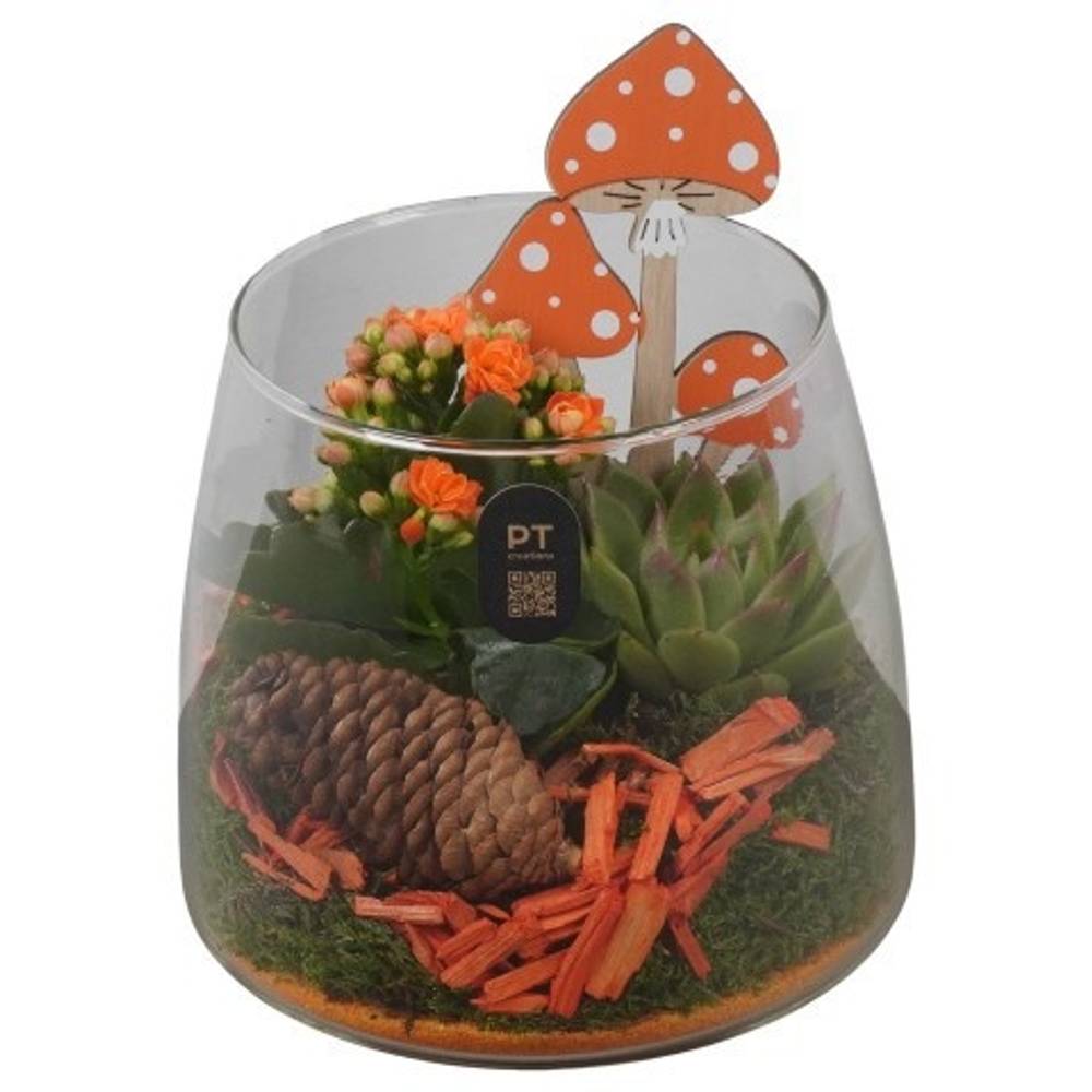 Kal.Arr PTHG8290 Herbst T14 H020