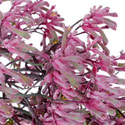 Kangeroo rosa Radiance 70cm