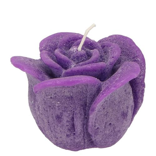 Kerze Rose dunkel lila D08cm H07cm