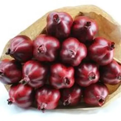 Trocken Granaat rot L55cm x15