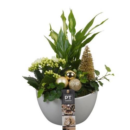 Spath.Arr PTCHG5623 Weihnachten T15 H028