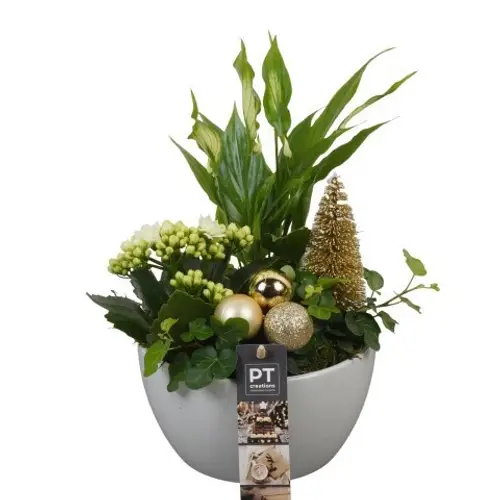 Spath.Arr PTCHG5623 Weihnachten T15 H028