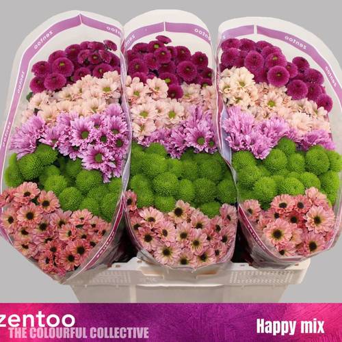 Santini mix Happy 1200 Gramm 55cm