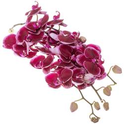 Phalaenopsis lila Lie de Vin 45 Blüten 3 Stiele 80cm