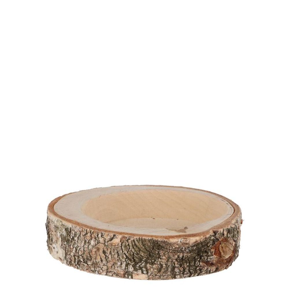 Trocken Birke Scheibe Hol D11,5cm H02,5cm