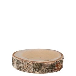 Trocken Birke Scheibe Hol D11,5cm H02,5cm