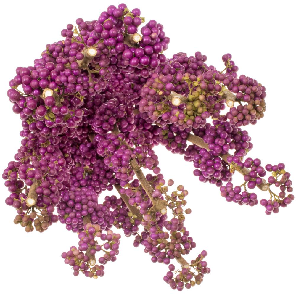 Callicarpa lila Giraldii 80cm