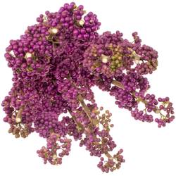 Callicarpa lila Giraldii 80cm