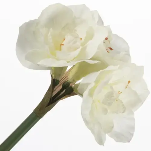 Seiden Amaryllus weiss L61cm