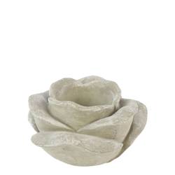 Beton Topf Rose Alora grau D17.5cm H09cm 