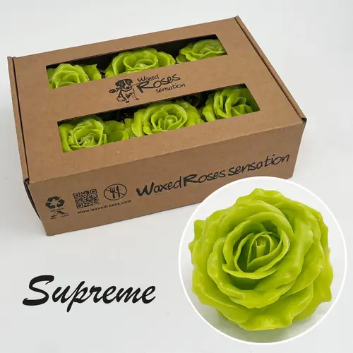Seiden Wachs Rose Supreme olif grün
