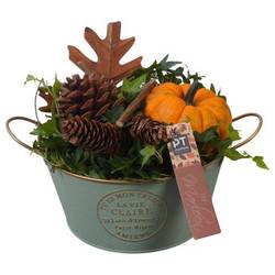 Garten.Arr PTSF8217 Herbst T20 H019