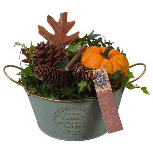 Garten.Arr PTSF8217 Herbst T20 H019