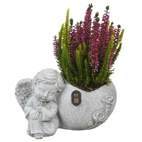 Garten.Arr PTAH3001 Allerheiligen T21 H025