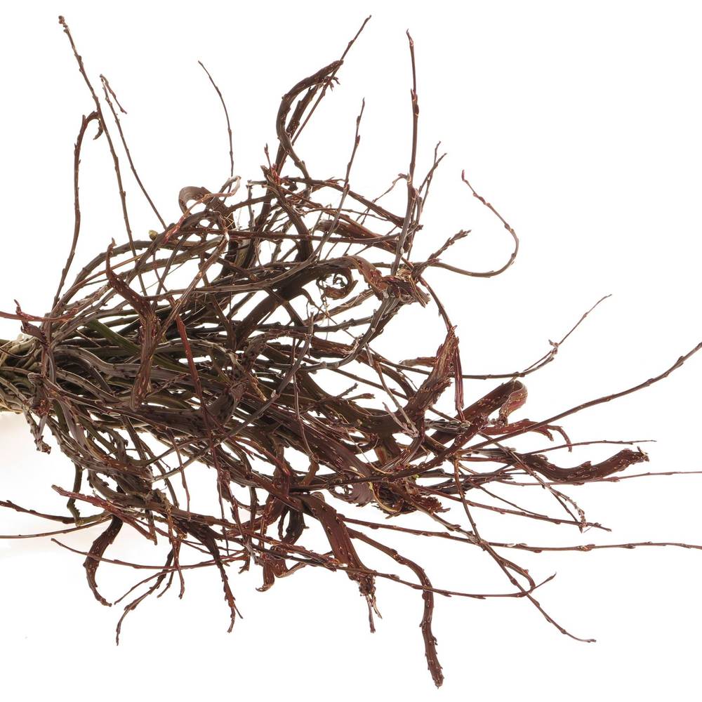 Bänderweide braun  Sekka Bandwilg 80cm