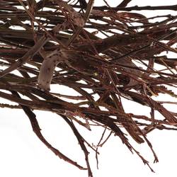 Bänderweide braun  Sekka Bandwilg 80cm