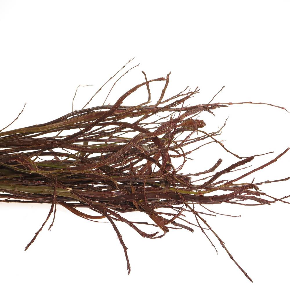 Bänderweide braun  Sekka Bandwilg 80cm