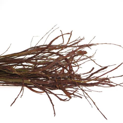 Bänderweide braun  Sekka Bandwilg 80cm