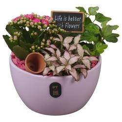 Kal.Arr PTIB5133 T15 H018