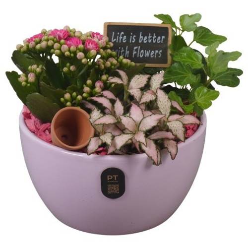 Kal.Arr PTIB5133 T15 H018