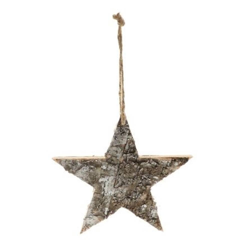 Hänger Snow Star D25cm