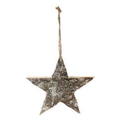 Hänger Snow Star D25cm