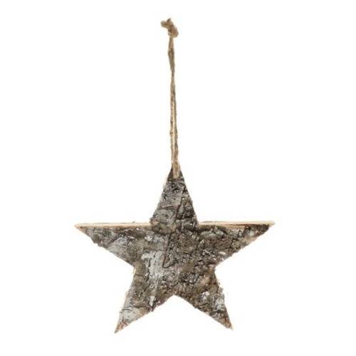 Hänger Snow Star D25cm
