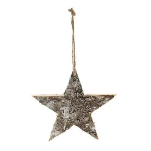 Hänger Snow Star D25cm