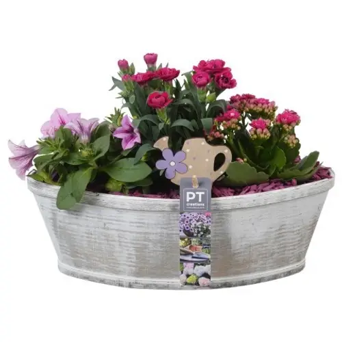 Garten.Arr PTPP7009 T33 H022