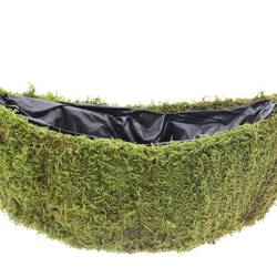 Moos Übertopf Boot grün 40x14cm