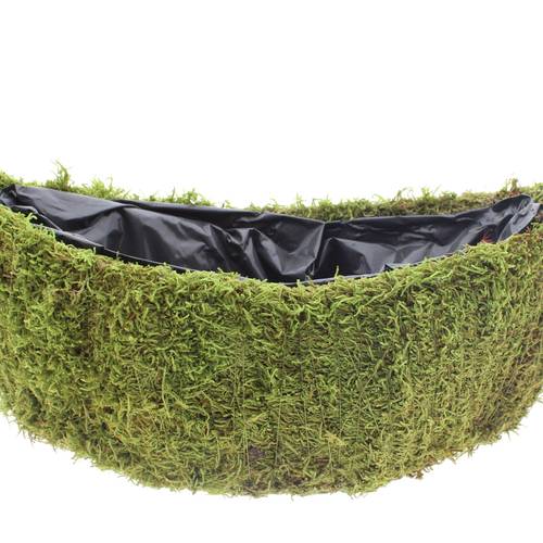 Moos Übertopf Boot grün 40x14cm