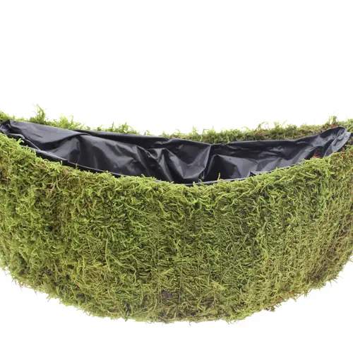 Moos Übertopf Boot grün 40x14cm