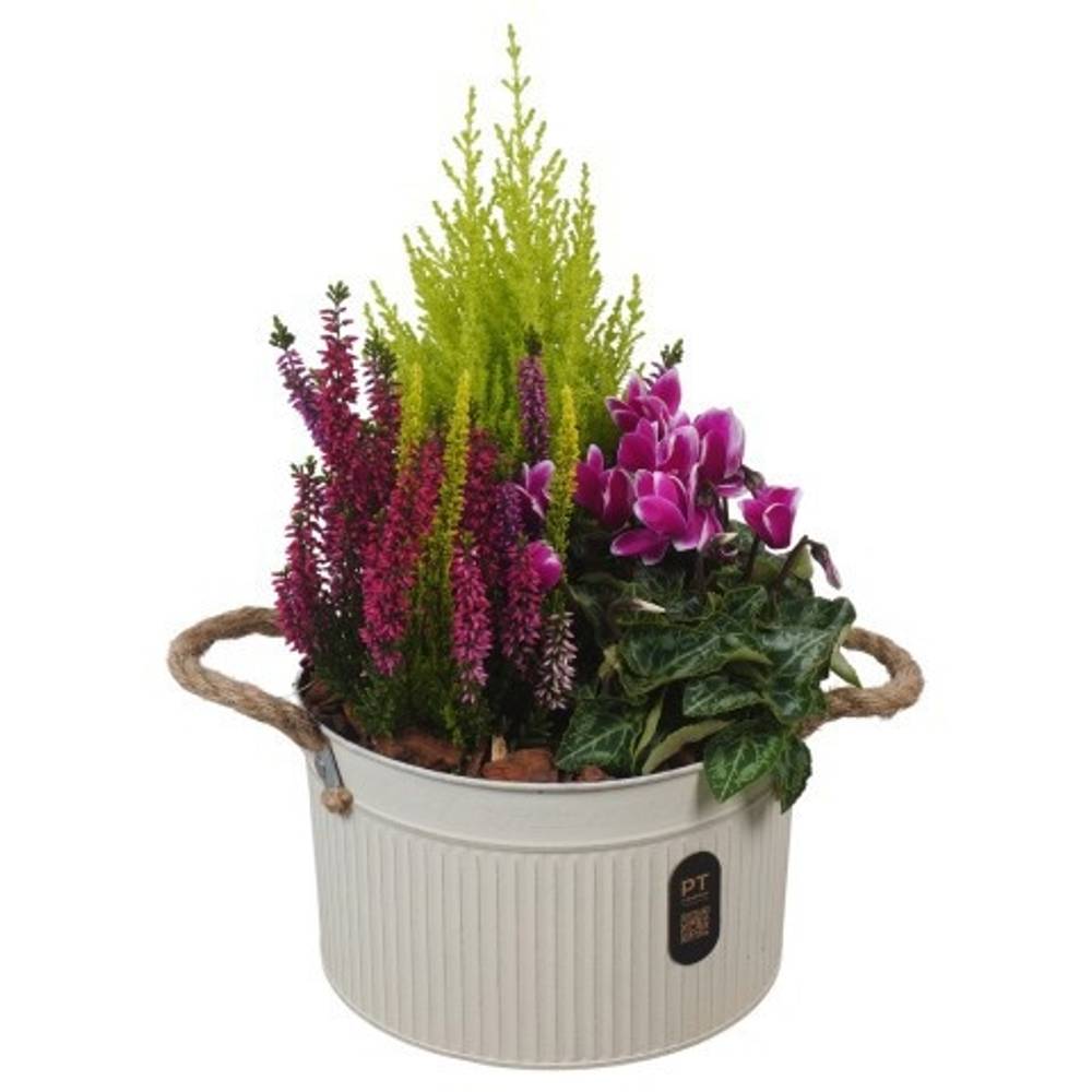 Garten.Arr PTHO7612 Herbst T21 H040
