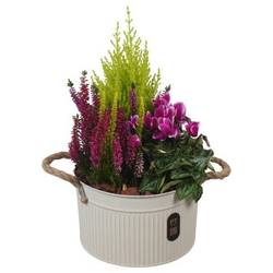 Garten.Arr PTHO7612 Herbst T21 H040