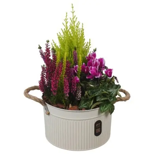 Garten.Arr PTHO7612 Herbst T21 H040