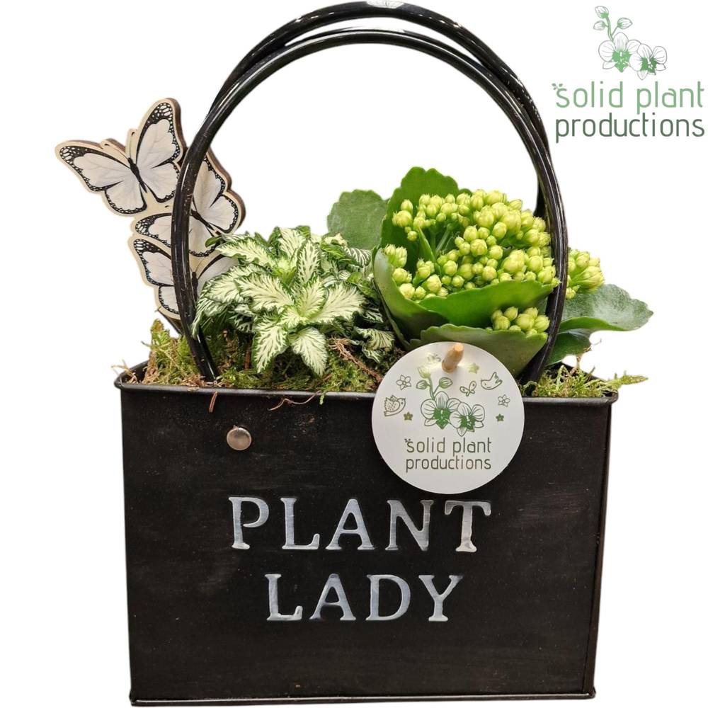 Kal.Arr ZKE001 schwarz T18 H028