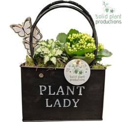 Kal.Arr ZKE001 schwarz T18 H028