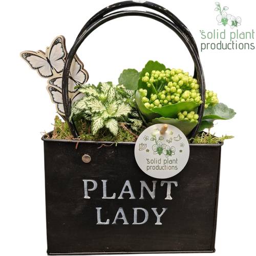 Kal.Arr ZKE001 schwarz T18 H028