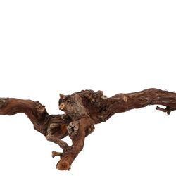 Trocken Zweig Traubenholz L25-45cm