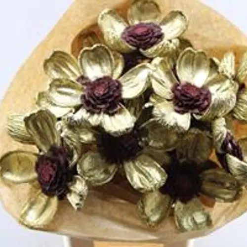Trocken Zapfenblumen auf Stab gold/rot L55cm x15