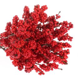 Ilex rot Super  40cm