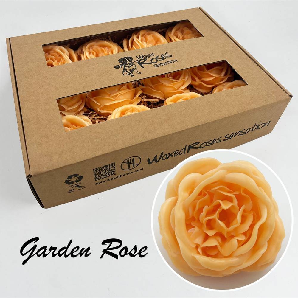 Seiden Wachs Gartenrose gelb